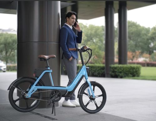融汇欧式生活态度 votani沃达尼电动自行车与网络设备